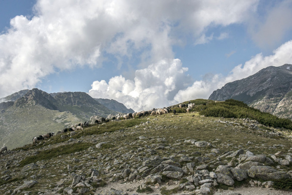 A Muntagnera A Muntagnera