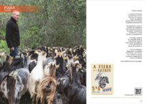 A Fiera di u casgiu A Fiera di u casgiu