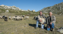 Parolle di pastori  Dumenicu è Marcellu Aliotti