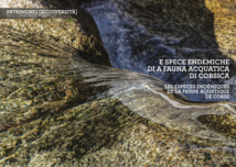 PATRIMUNIU È BIODIVERSITÀ PATRIMUNIU È BIODIVERSITÀ