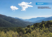 Nomi chì insegnanu una furesta o un boscu Nomi chì insegnanu una furesta o un boscu