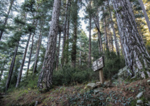 Surfréquentation de la montagne Corse. Surfréquentation de la montagne Corse.