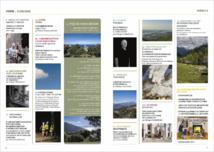 SOMMAIRE DU NUMERO 8 SOMMAIRE DU NUMERO 8