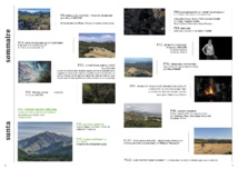 SOMMAIRE DU NUMERO 12 SOMMAIRE DU NUMERO 12