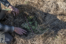 La permaculture c'est du sérieux !