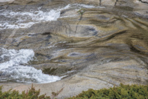 CARTULARE     L'ACQUA CARTULARE     L'ACQUA