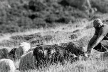 Parolla di pastore Petru Istria, pecuraghju in Arghjusta Muricciu Parolla di pastore Petru Istria, pecuraghju in Arghjusta Muricciu