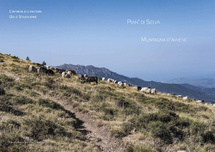Muntagna d'avenne