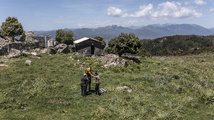 Pian'di Selva