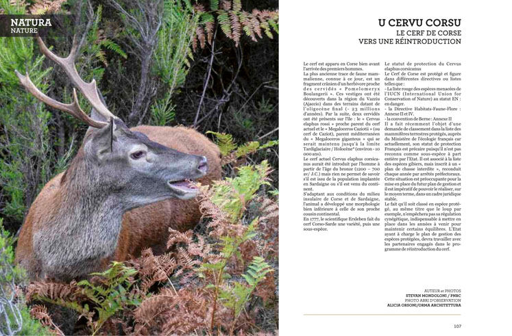 U cervu Corsu  /  Le cerf de Corse U cervu Corsu  /  Le cerf de Corse