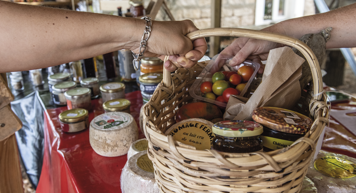 CIRCUITS COURTS  CIRCUITS COURTS