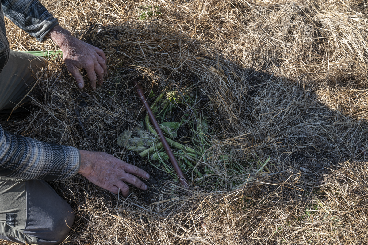 La permaculture c'est du sérieux !