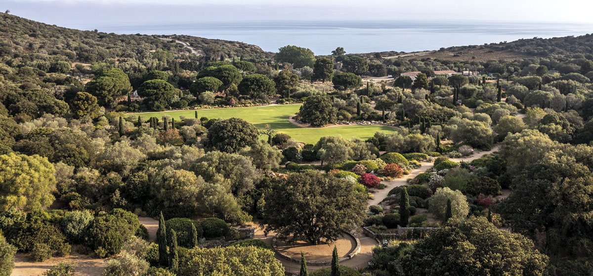 SALECCIA L’ortu mediterraneu