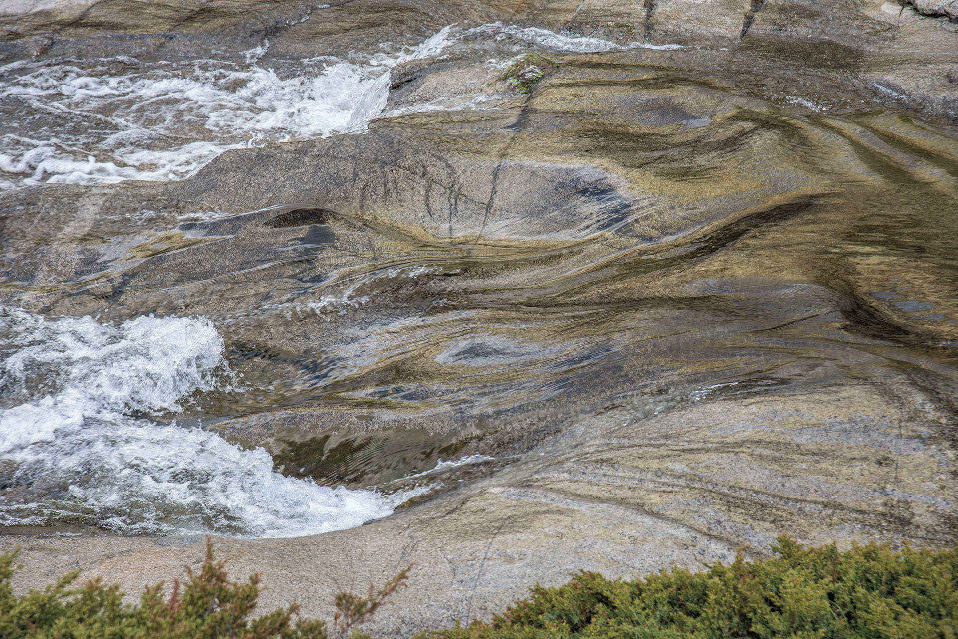 CARTULARE     L'ACQUA CARTULARE     L'ACQUA