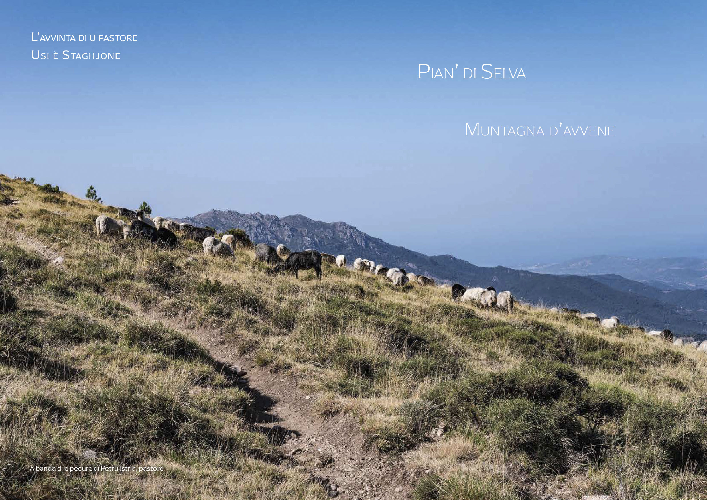Muntagna d'avenne