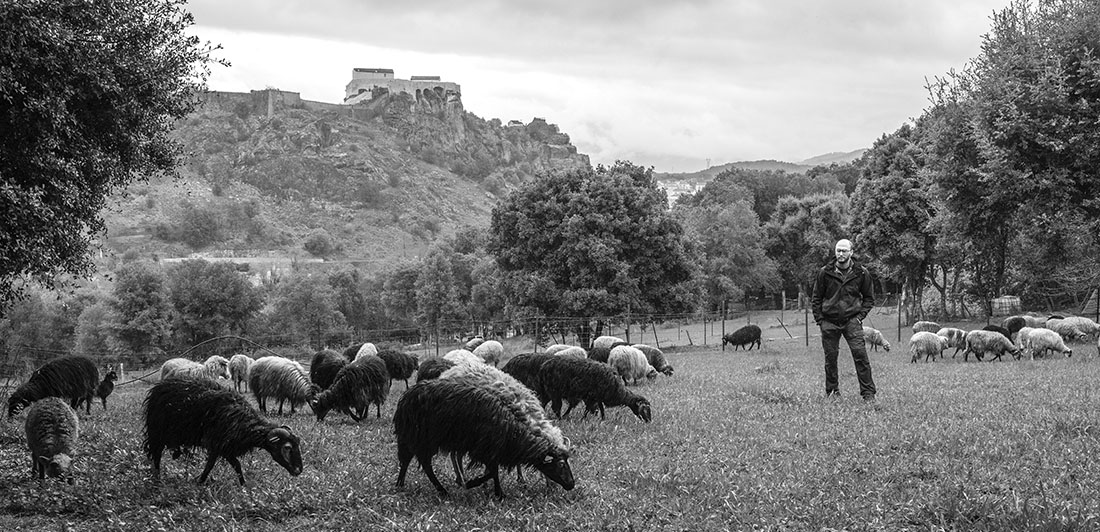 Parolla di pastore Jordan Leduc, pecuraghju in Corti