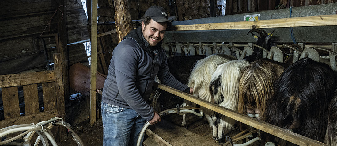 Parolla di pastore Michè Poli, capraghju in Rusazia