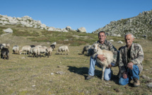 Parolle di pastori  Dumenicu è Marcellu Aliotti