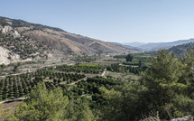 LIBRETTU di Viaghju, carnet de voyage