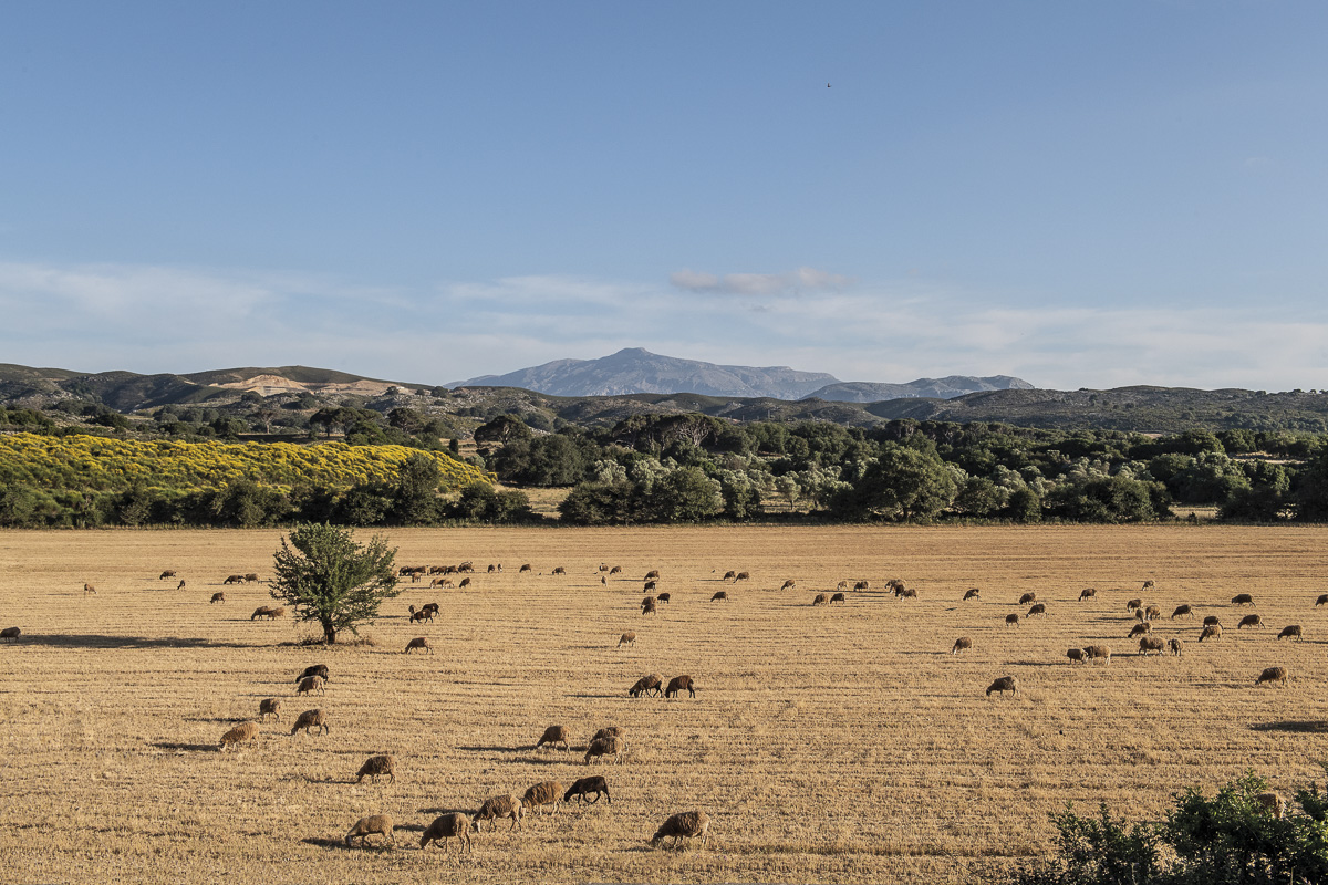 A CRETA, terra di u pasturisimu.  A CRETA, terra di u pasturisimu.